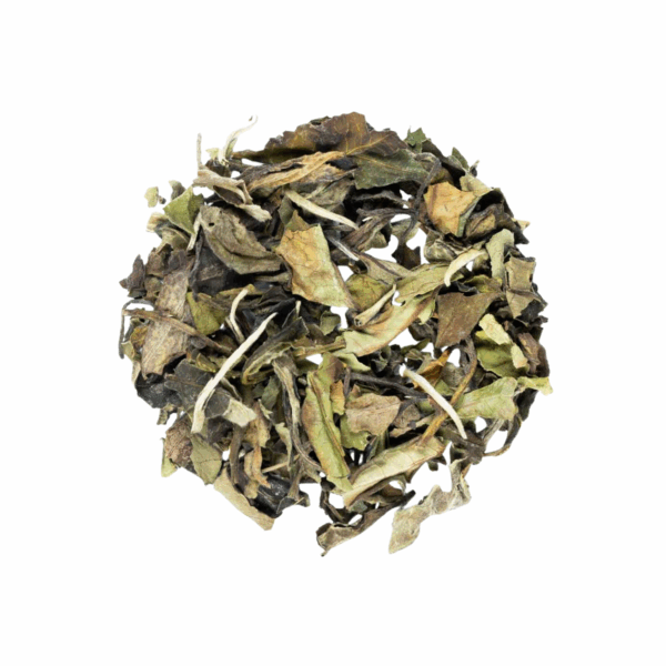 Té Blanco Lapsang Pai Mu Tan